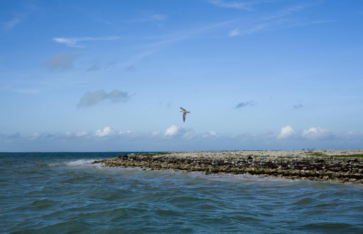 T32EU Atolón Kiritimati, Kiribati DX News