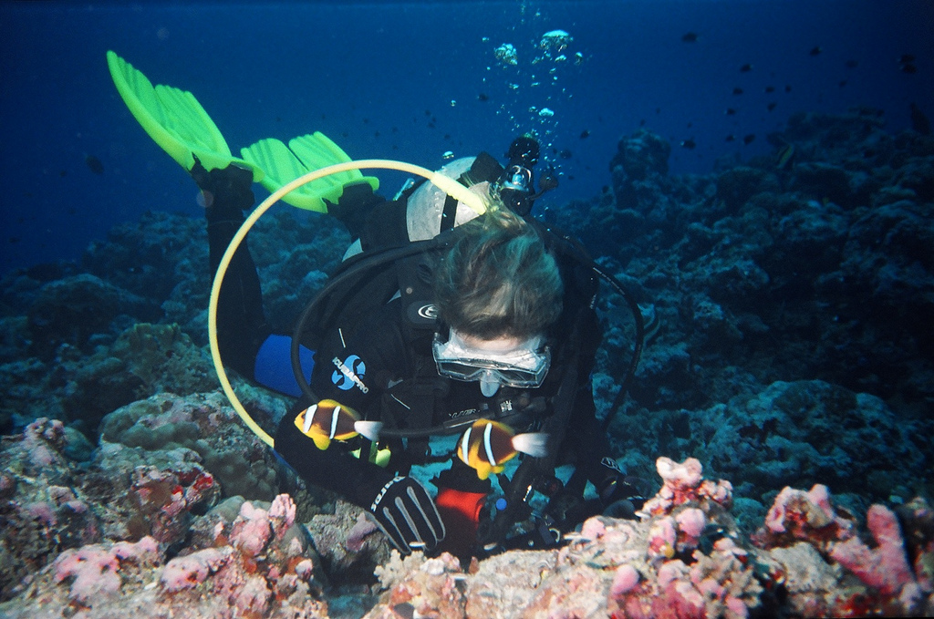 T88YL Koror Island, Palau Tourist attractions spot T88YL Koror Island, Palau Tourist attractions spot