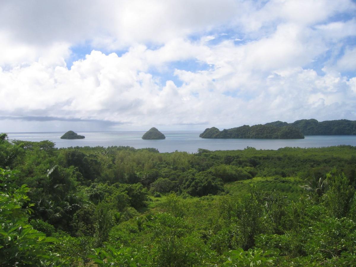 T8YA T8AR Babeldaob Island, Palau DX News T8YA T8AR Babeldaob Island, Palau DX News