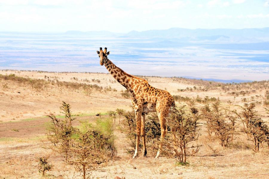 Tanzania 5H3YH DX News 