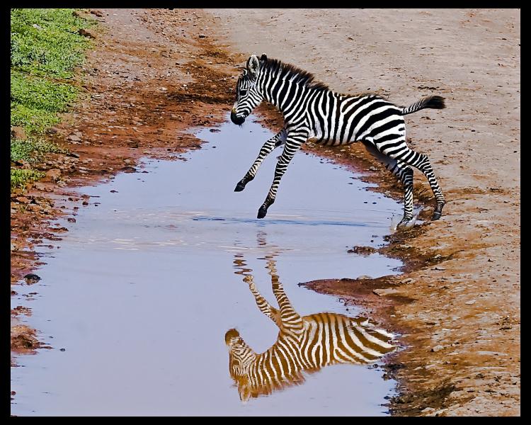 Tanzania 5H3YH Tourist attractions spot Ngorongoro 