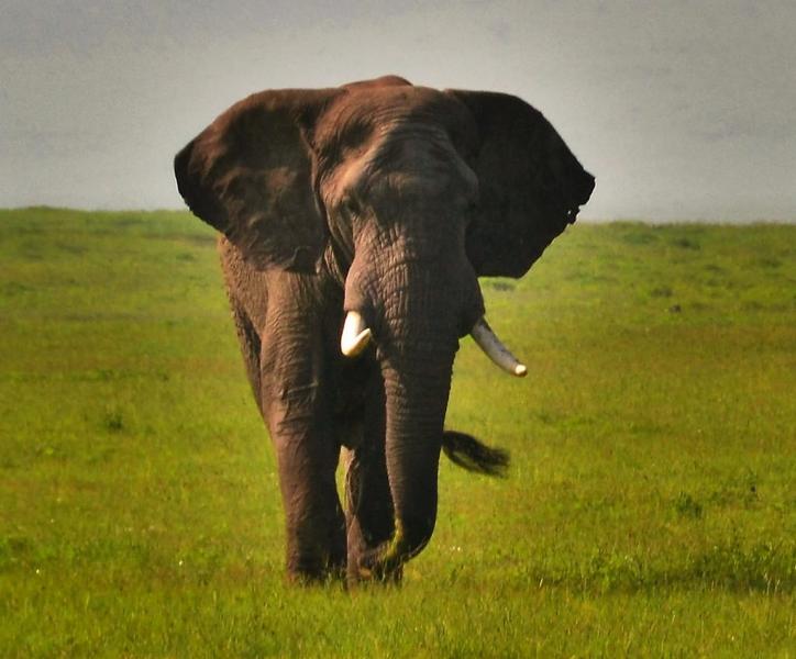 Tanzania 5H3YH Arusha