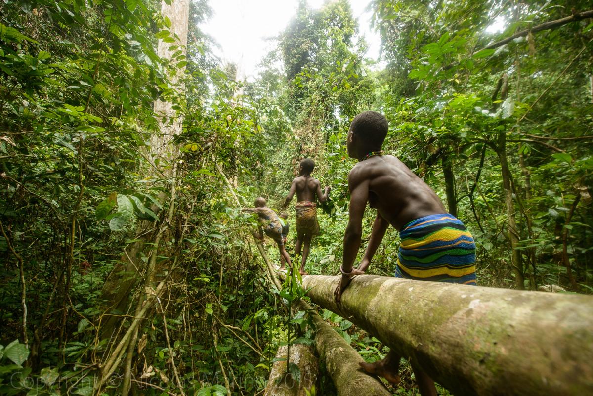TL7M Central African Republic. Tourist attractions spot TL7M Central African Republic. Tourist attractions spot
