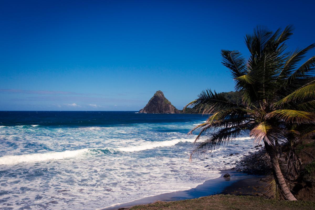 TO1J FM/JF2QNM Martinique Island DX 2019 TO1J FM/JF2QNM Martinique Island DX 2019