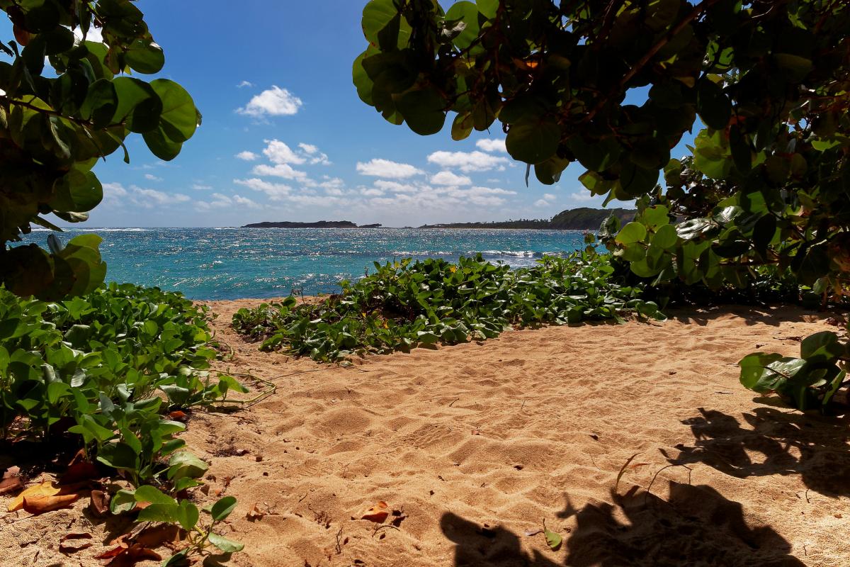 TO1J Martinique Island Tourist attractions spot TO1J Martinique Island Tourist attractions spot