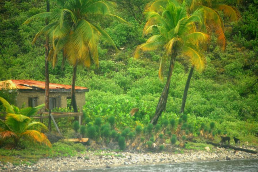 Tortola Island VP2V/N2IEN Tourist attractions spot British Virgin Islands  Tortola Island VP2V/N2IEN Tourist attractions spot British Virgin Islands