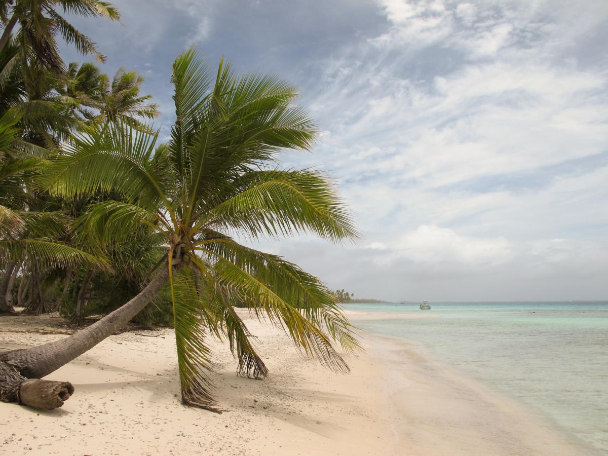 TX7XG Fakarava Atoll, French Polynesia