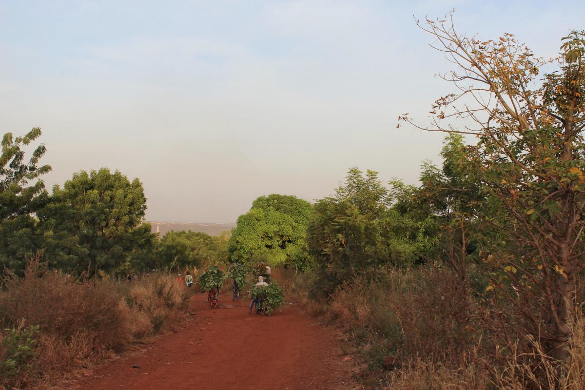 TZ/DK1CE Мали DX Новости TZ/DK1CE Мали DX Новости