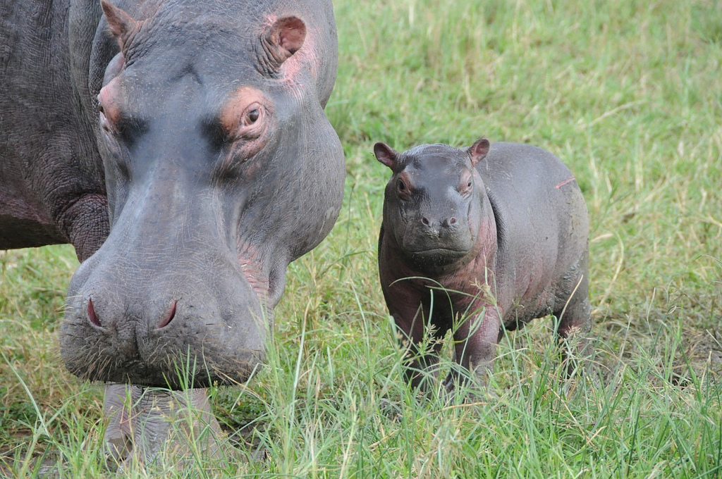 Uganda 5X2B Tourist attractions spot  Uganda 5X2B Tourist attractions spot