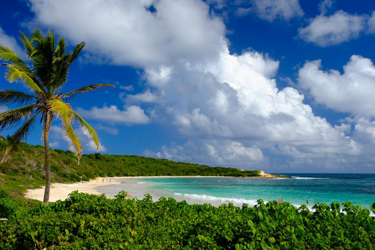 V26NF Халф Мун Бэй, остров Антигуа. Туристические достопримечательности. V26NF Халф Мун Бэй, остров Антигуа. Туристические достопримечательности.