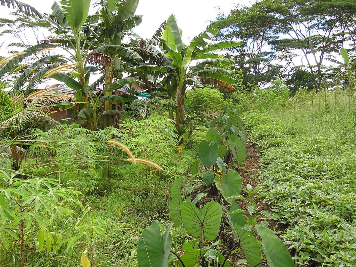 V63CB Pohnpei, Micronesia DX News