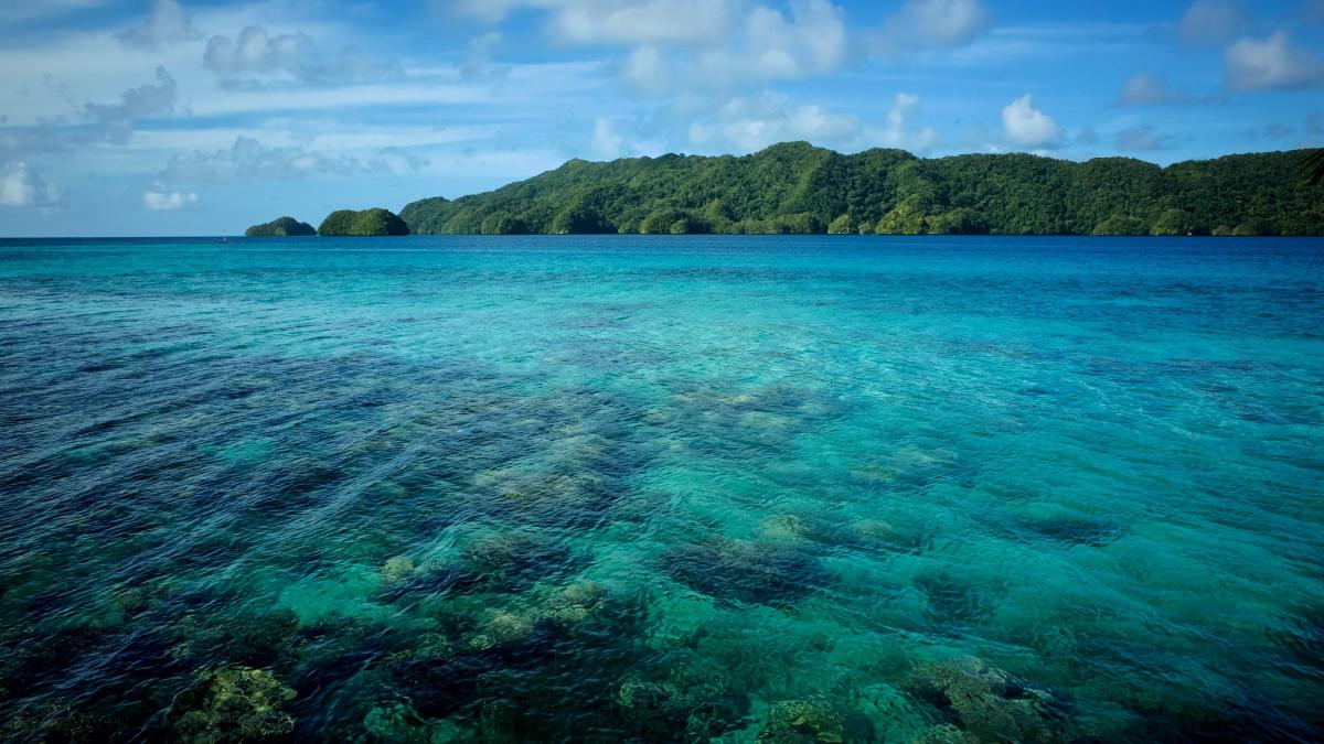 T8OK Palau Tourist attractions spot