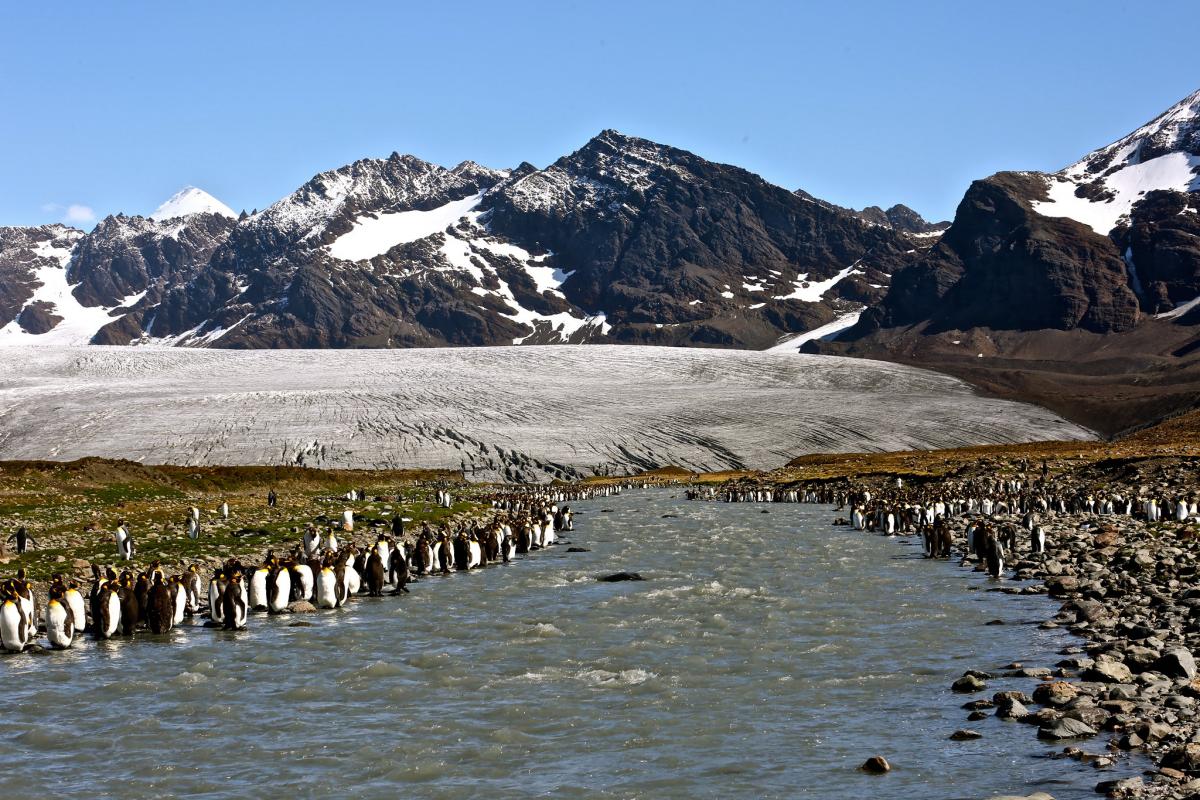 VP0SG South Georgia Island DX News VP0SG South Georgia Island DX News