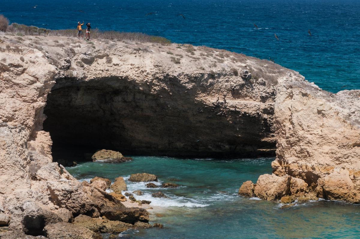 VP2ELX VP2EWE ������ ������� ������������� ���������������������