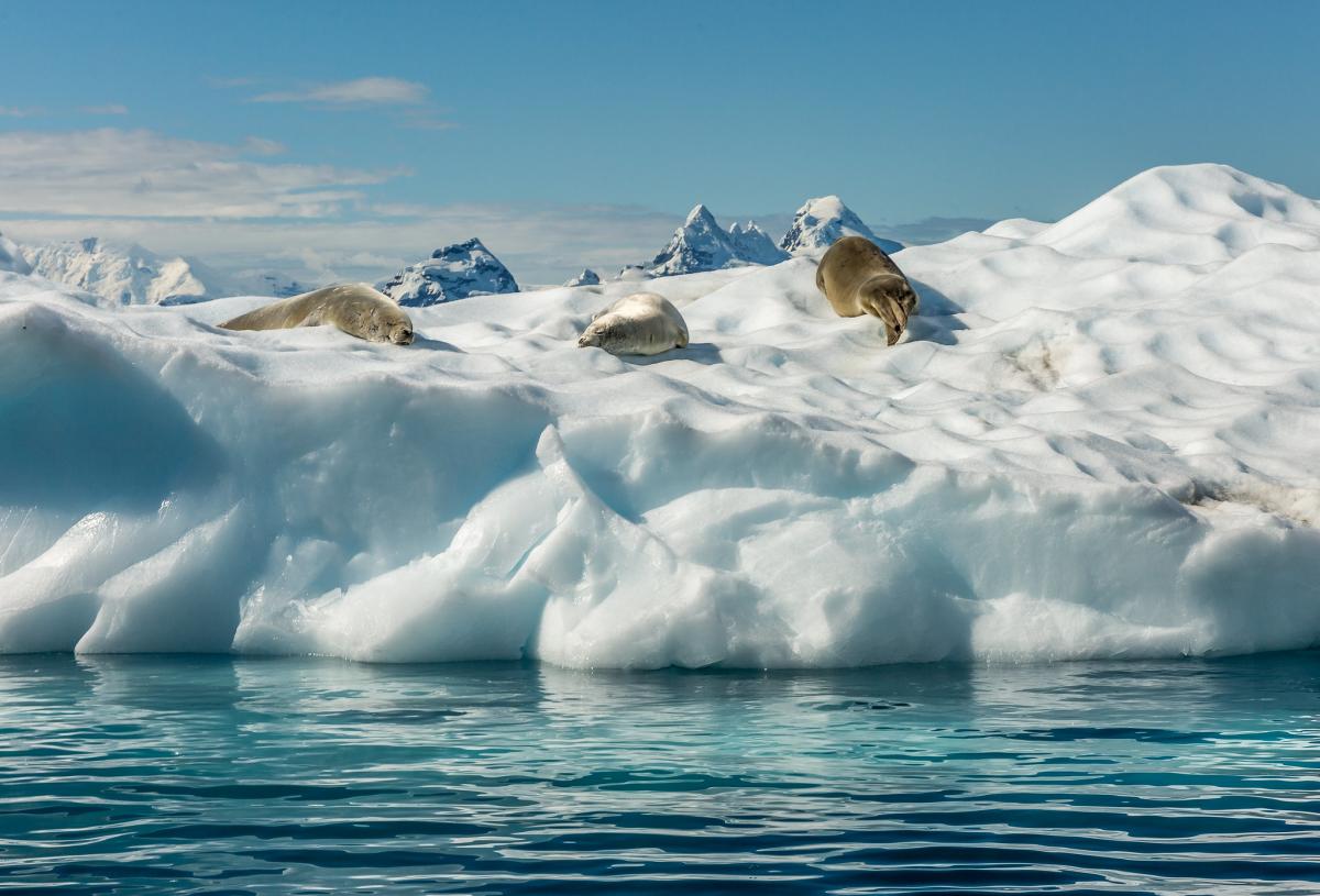 VP8DOI Hidden Bay, Antarctica Tourist attractions spot VP8DOI Hidden Bay, Antarctica Tourist attractions spot