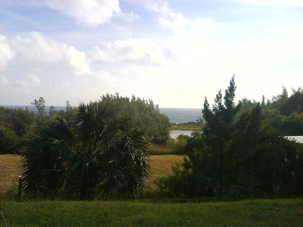 W2SFD/VP9 Bermuda Islands DX News W2SFD/VP9 Bermuda Islands DX News