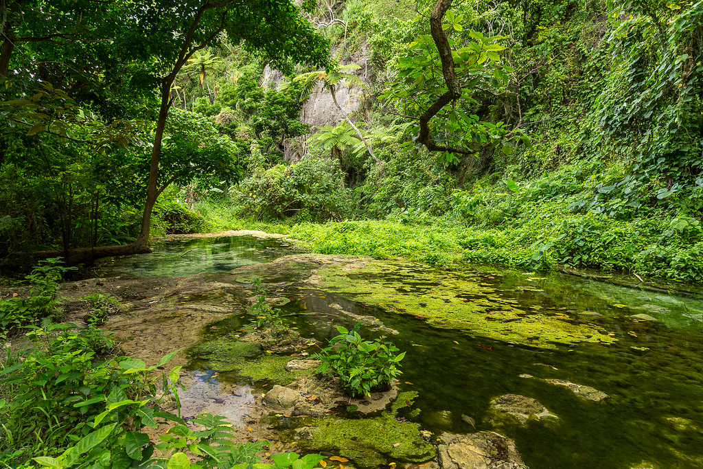 YJ0GC Efate Island, Vanuatu. DX News. YJ0GC Efate Island, Vanuatu. DX News.