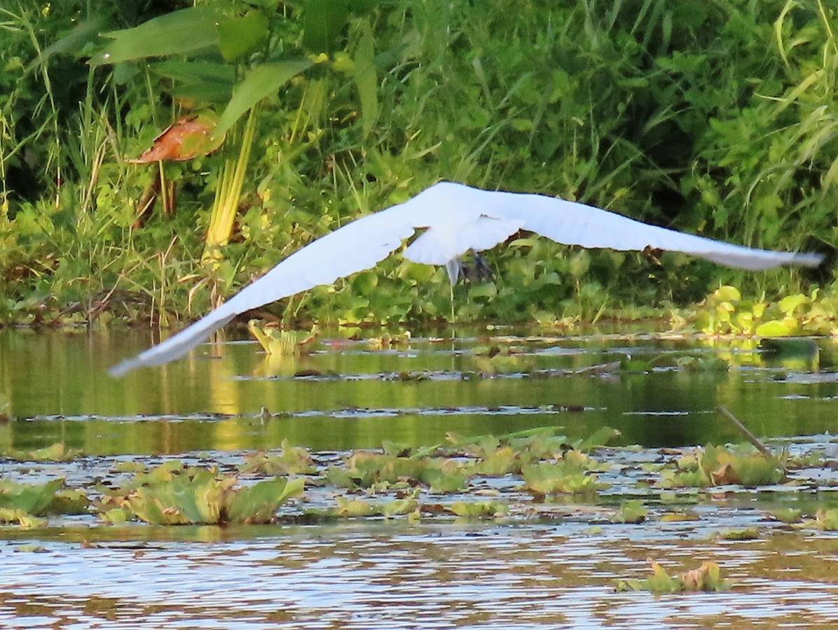 YN3GEA Lake Nicaragua, Nicaragua. Tourist attractions spot
