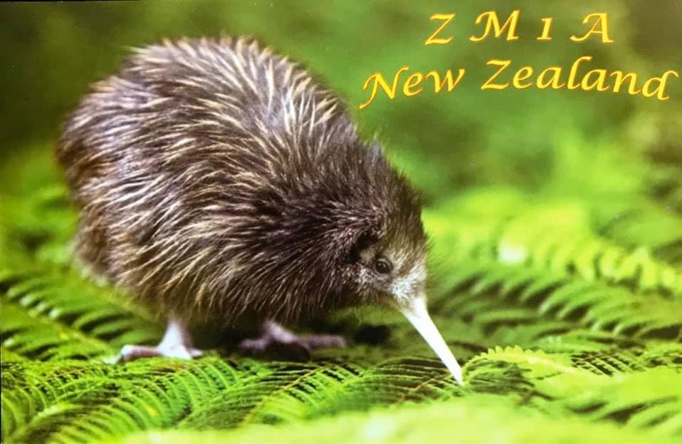 ZM1A Новая Зеландия CQ WW DX CW Contest ZM1A Новая Зеландия CQ WW DX CW Contest